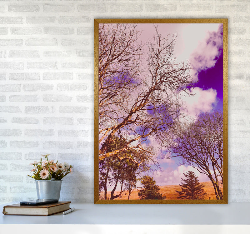 Pink Dartmoor Art Print by Proper Job Studio A1 Print Only