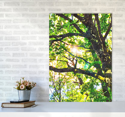 Sun through green leaves A1 Black Frame