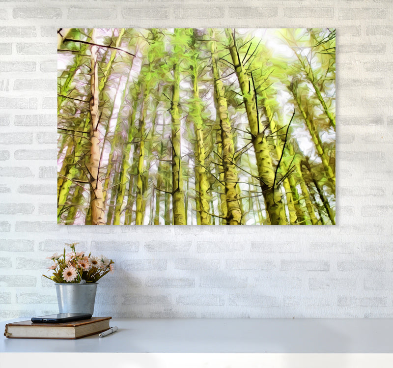 Woodland A1 Black Frame