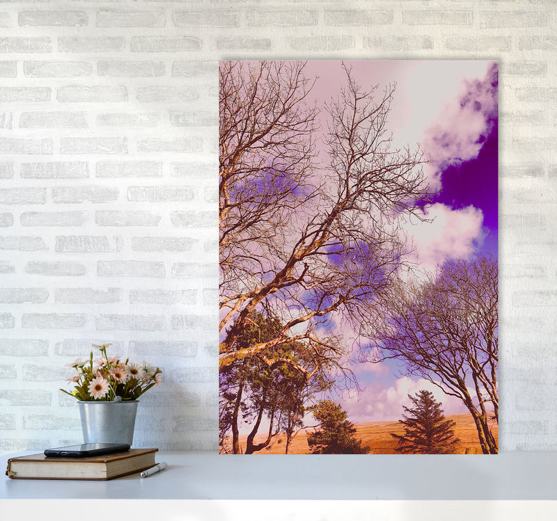 Pink Dartmoor Art Print by Proper Job Studio A1 Black Frame