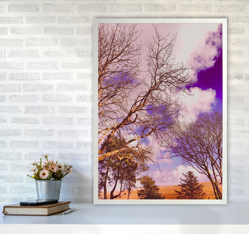Pink Dartmoor Art Print by Proper Job Studio A1 Oak Frame