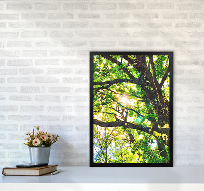 Sun through green leaves A2 White Frame