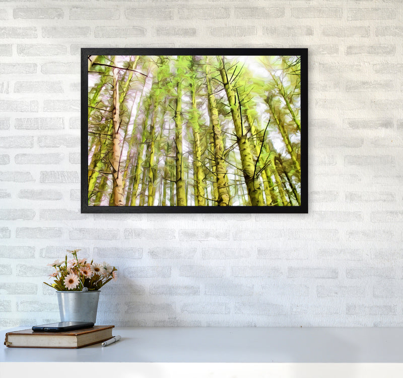 Woodland A2 White Frame