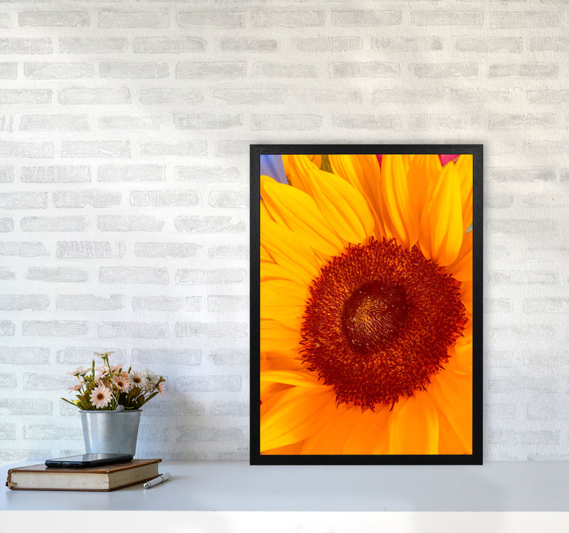 Sunflower Art Print by Proper Job Studio A2 White Frame