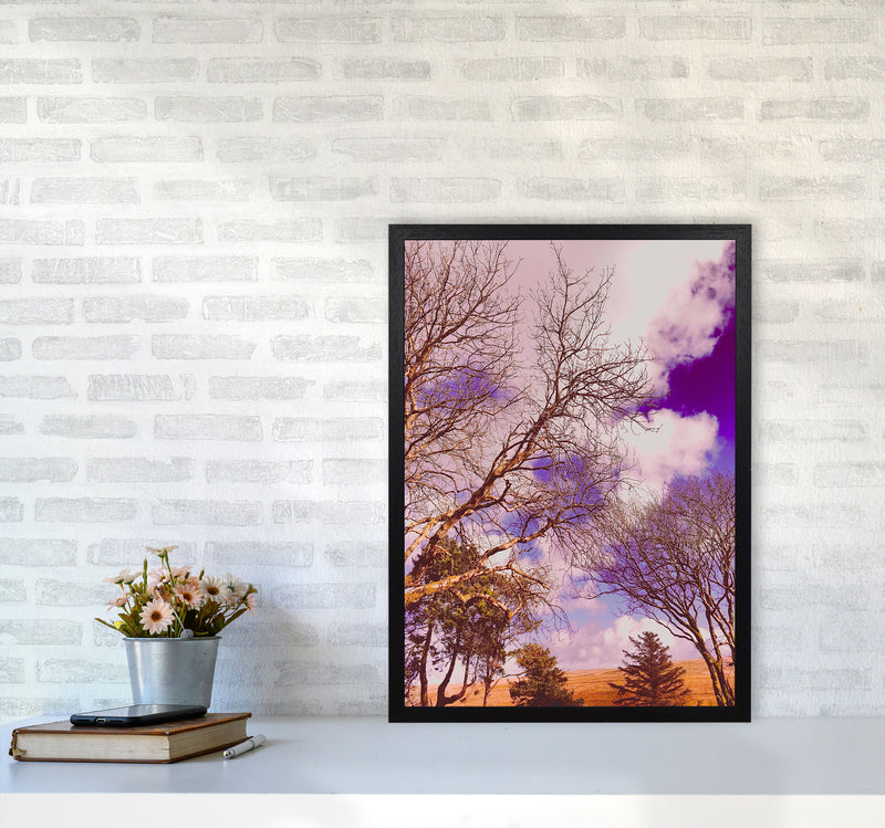 Pink Dartmoor Art Print by Proper Job Studio A2 White Frame