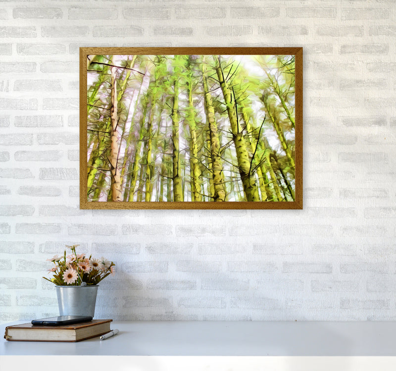 Woodland A2 Print Only