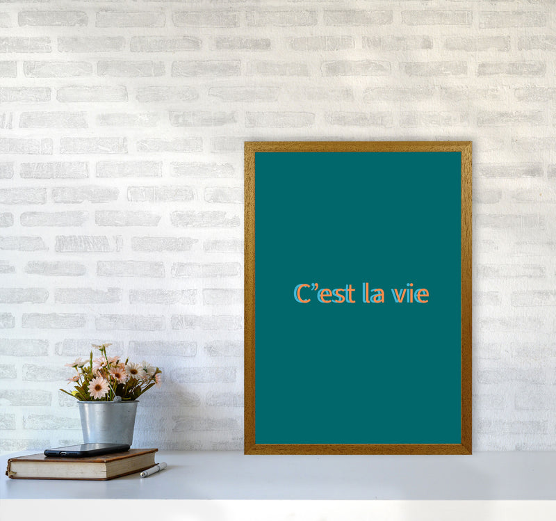 Cest la vie Art Print by Proper Job Studio A2 Print Only