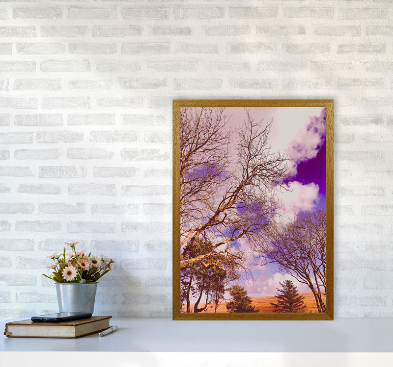 Pink Dartmoor Art Print by Proper Job Studio A2 Print Only