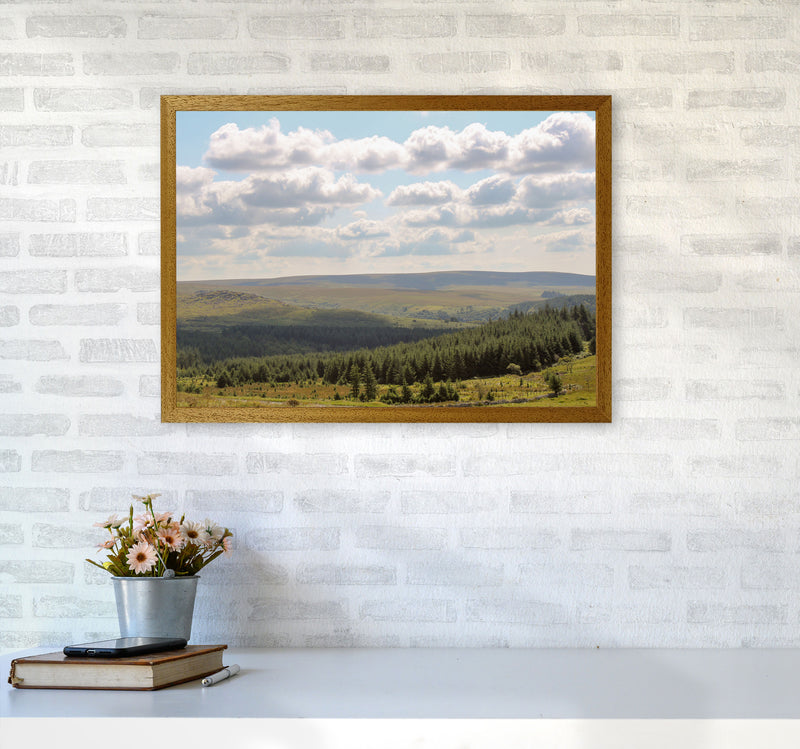 Dartmoor, 2021 Art Print by Proper Job Studio A2 Print Only