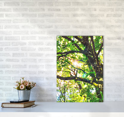 Sun through green leaves A2 Black Frame