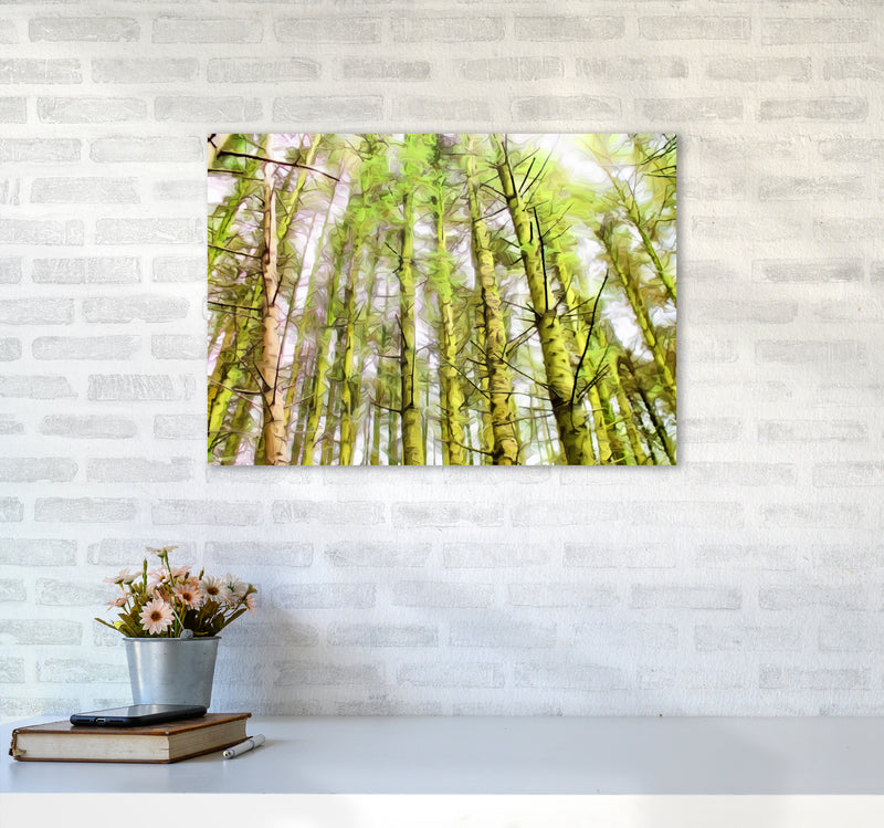 Woodland A2 Black Frame