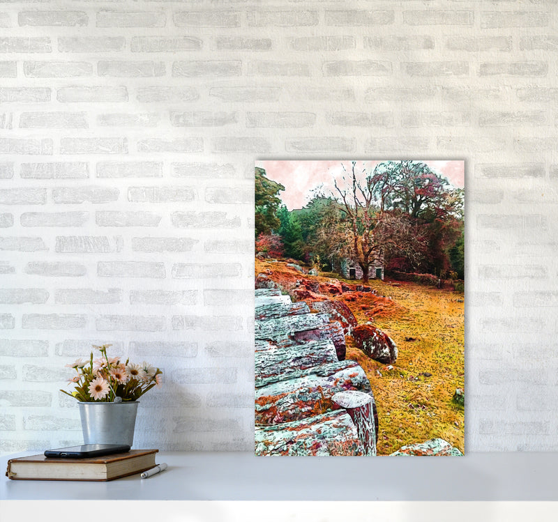 House on Dartmoor Art Print by Proper Job Studio A2 Black Frame