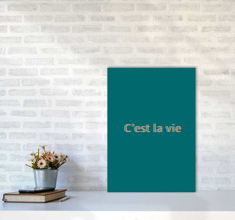 Cest la vie Art Print by Proper Job Studio A2 Black Frame