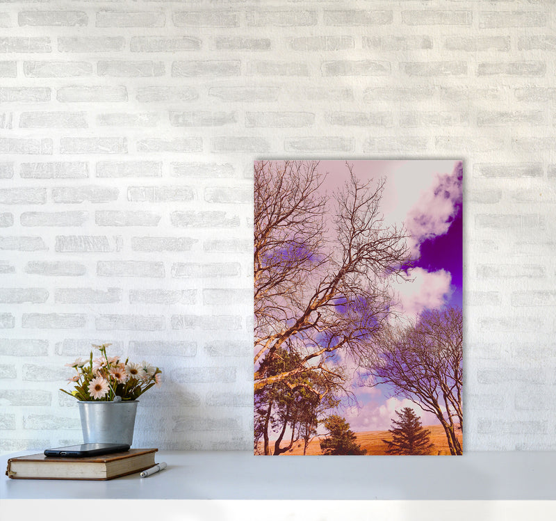 Pink Dartmoor Art Print by Proper Job Studio A2 Black Frame