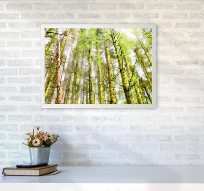 Woodland A2 Oak Frame