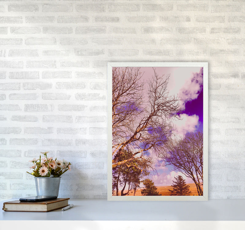 Pink Dartmoor Art Print by Proper Job Studio A2 Oak Frame