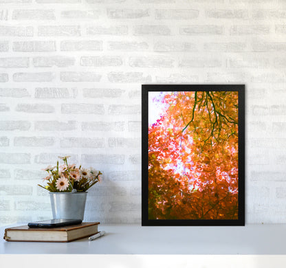 Autumn Leaves A3 White Frame