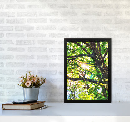 Sun through green leaves A3 White Frame