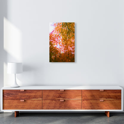 Autumn Leaves A3 Canvas