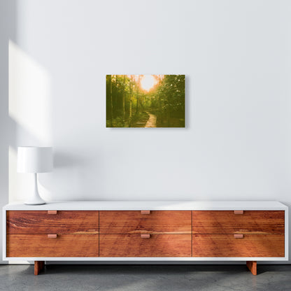 Autumn wood A3 Canvas