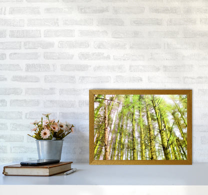 Woodland A3 Print Only