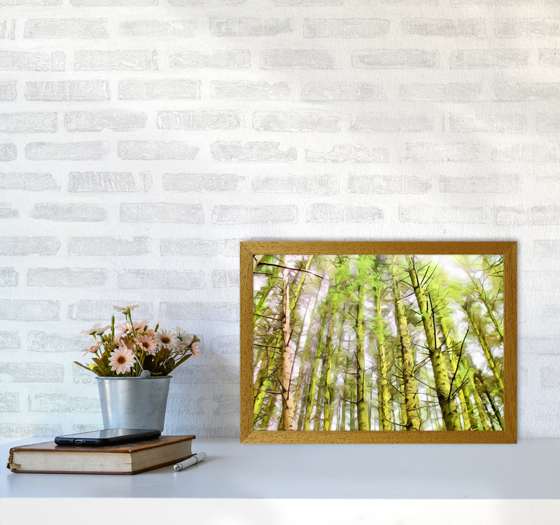 Woodland A3 Print Only