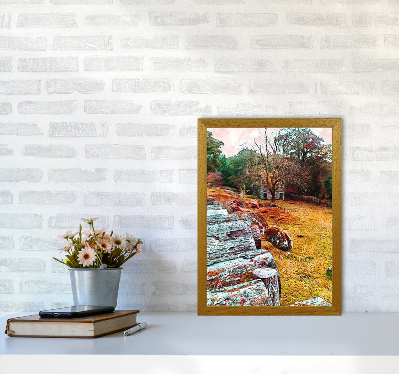 House on Dartmoor Art Print by Proper Job Studio A3 Print Only
