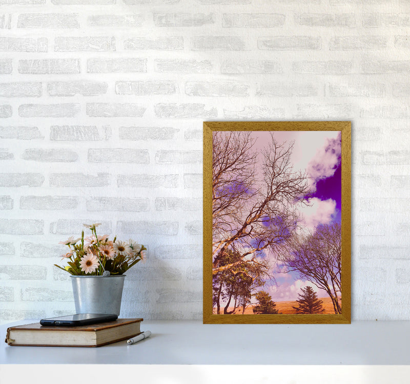 Pink Dartmoor Art Print by Proper Job Studio A3 Print Only