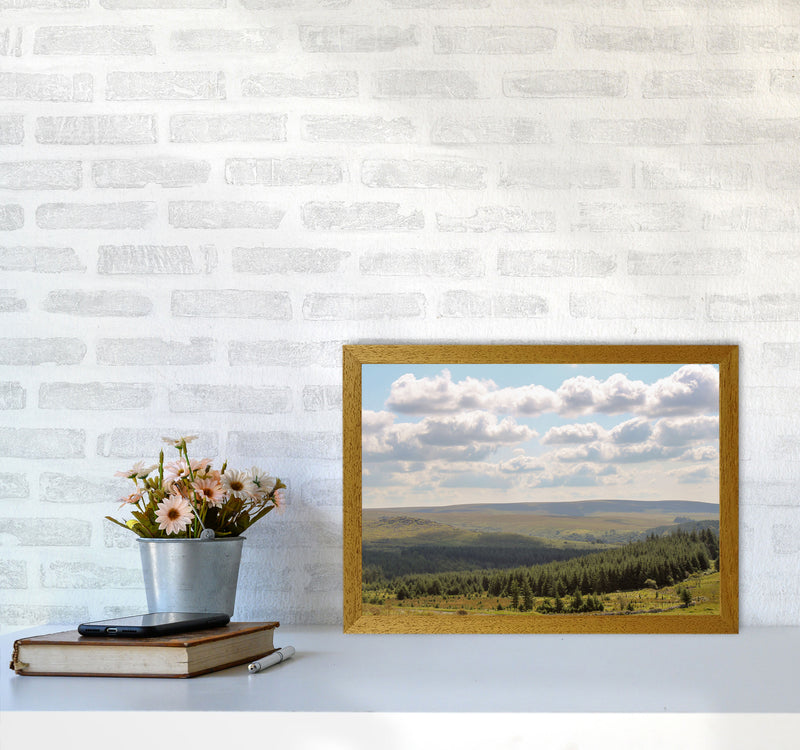 Dartmoor, 2021 Art Print by Proper Job Studio A3 Print Only