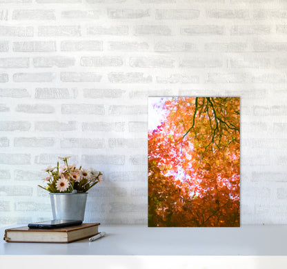Autumn Leaves A3 Black Frame