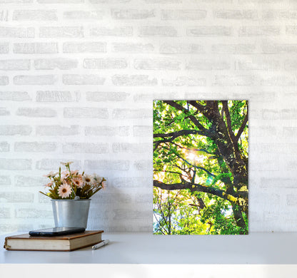 Sun through green leaves A3 Black Frame