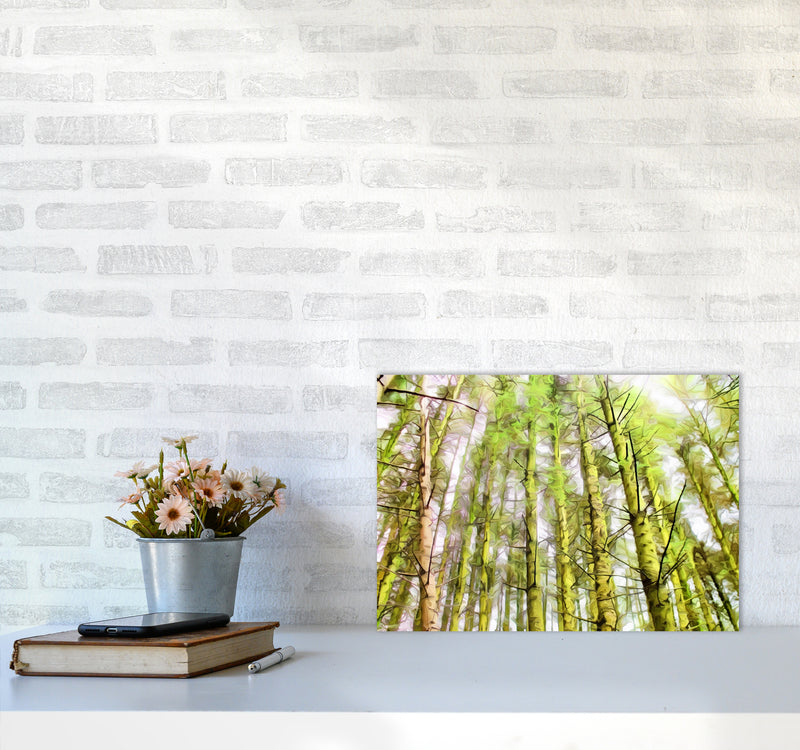 Woodland A3 Black Frame