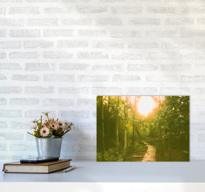 Autumn wood A3 Black Frame