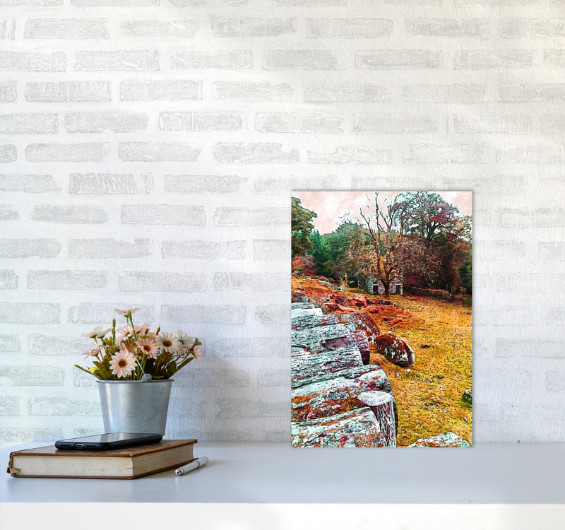 House on Dartmoor Art Print by Proper Job Studio A3 Black Frame