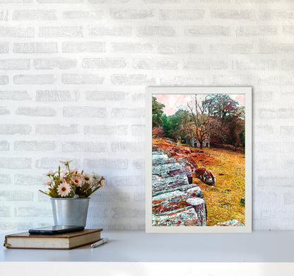 House on Dartmoor Art Print by Proper Job Studio A3 Oak Frame