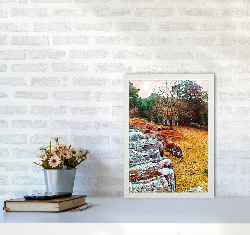 House on Dartmoor Art Print by Proper Job Studio A3 Oak Frame