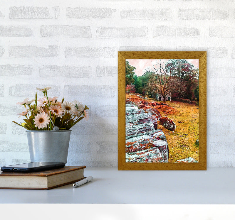 House on Dartmoor Art Print by Proper Job Studio A4 Print Only