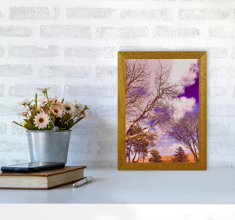 Pink Dartmoor Art Print by Proper Job Studio A4 Print Only