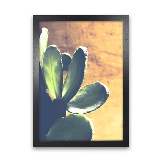 Cactus Photography Art Print by Proper Job Studio Black Grain