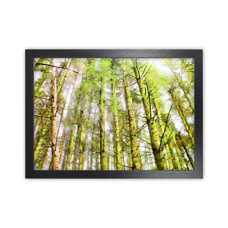 Woodland Black Grain