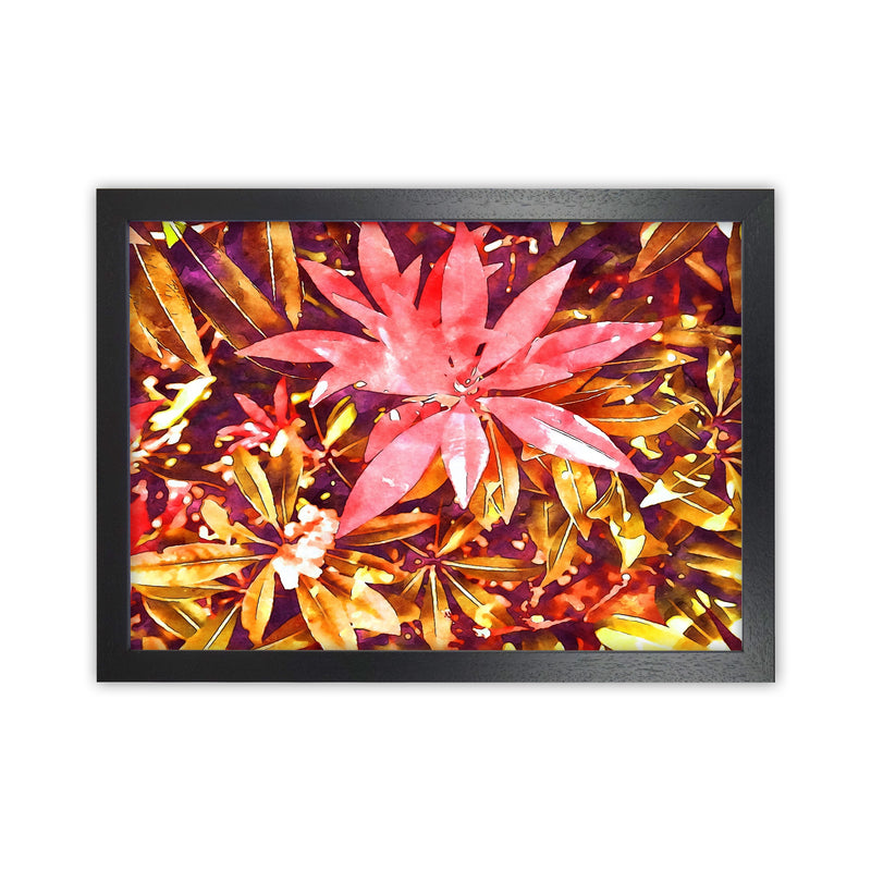 Autumnal flowers Black Grain