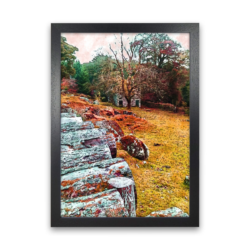 House on Dartmoor Art Print by Proper Job Studio Black Grain