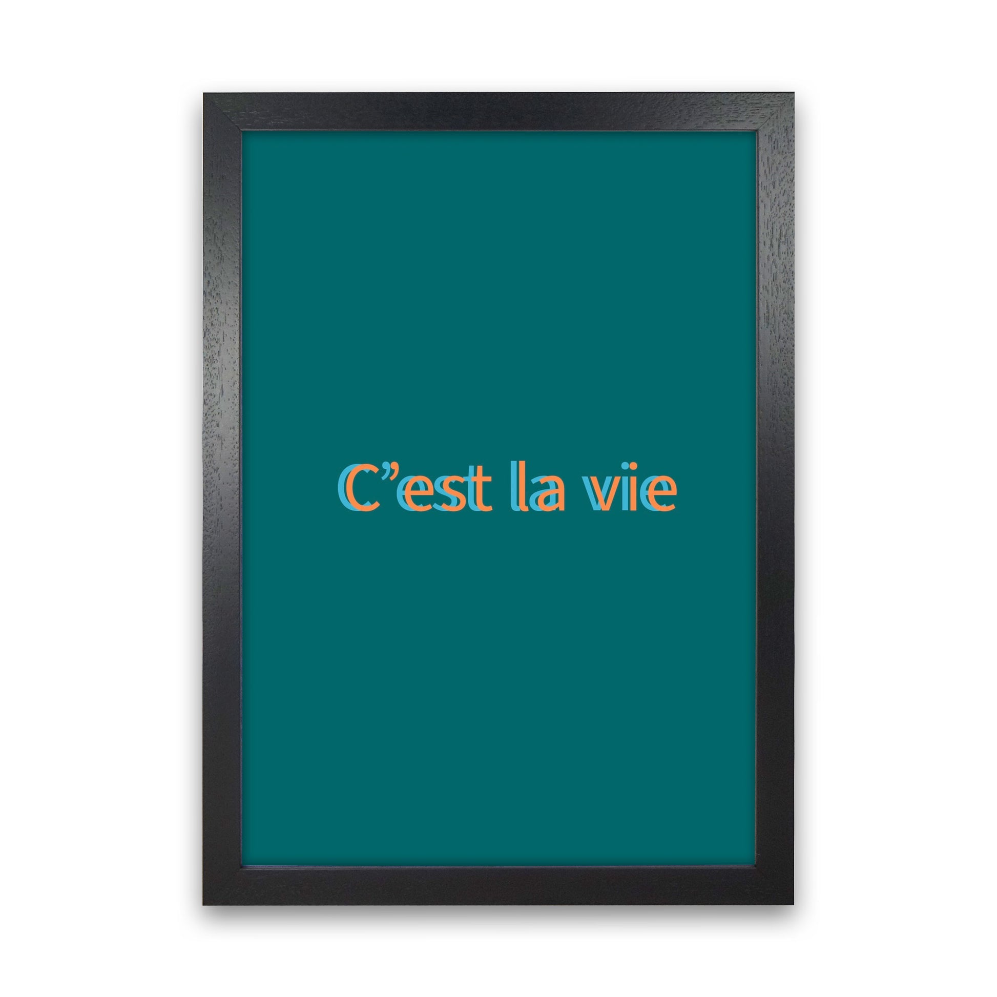 Cest la vie Art Print by Proper Job Studio Black Grain