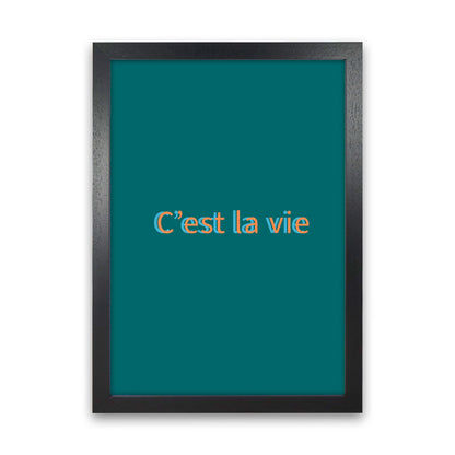 Cest la vie Art Print by Proper Job Studio Black Grain