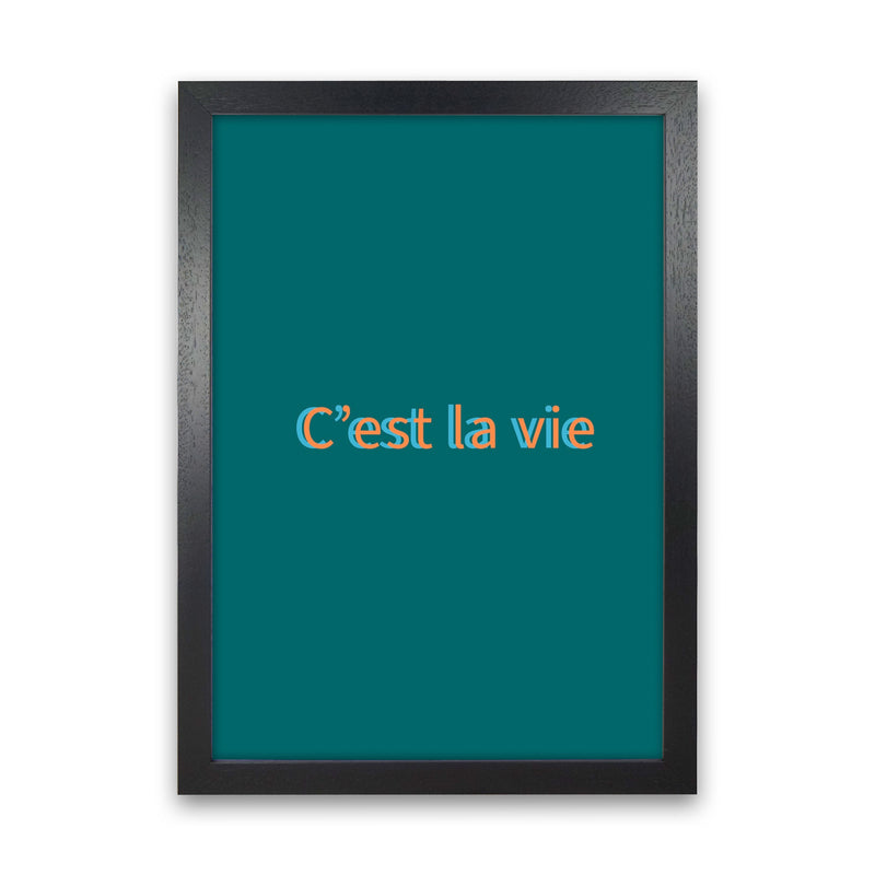 Cest la vie Art Print by Proper Job Studio Black Grain