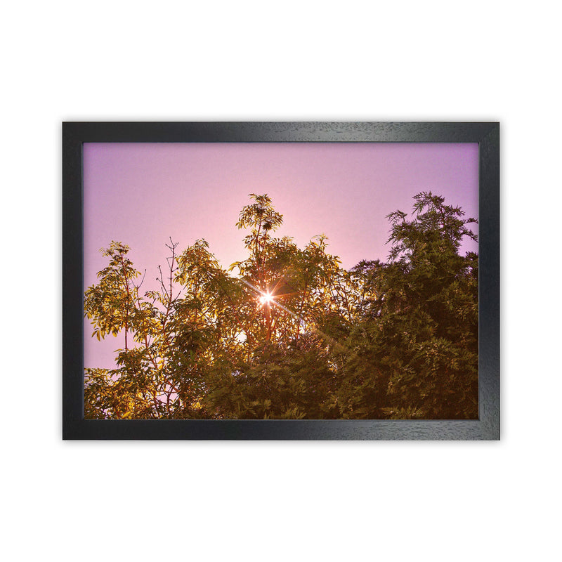 Blush Sunrise Art Print by Proper Job Studio Black Grain