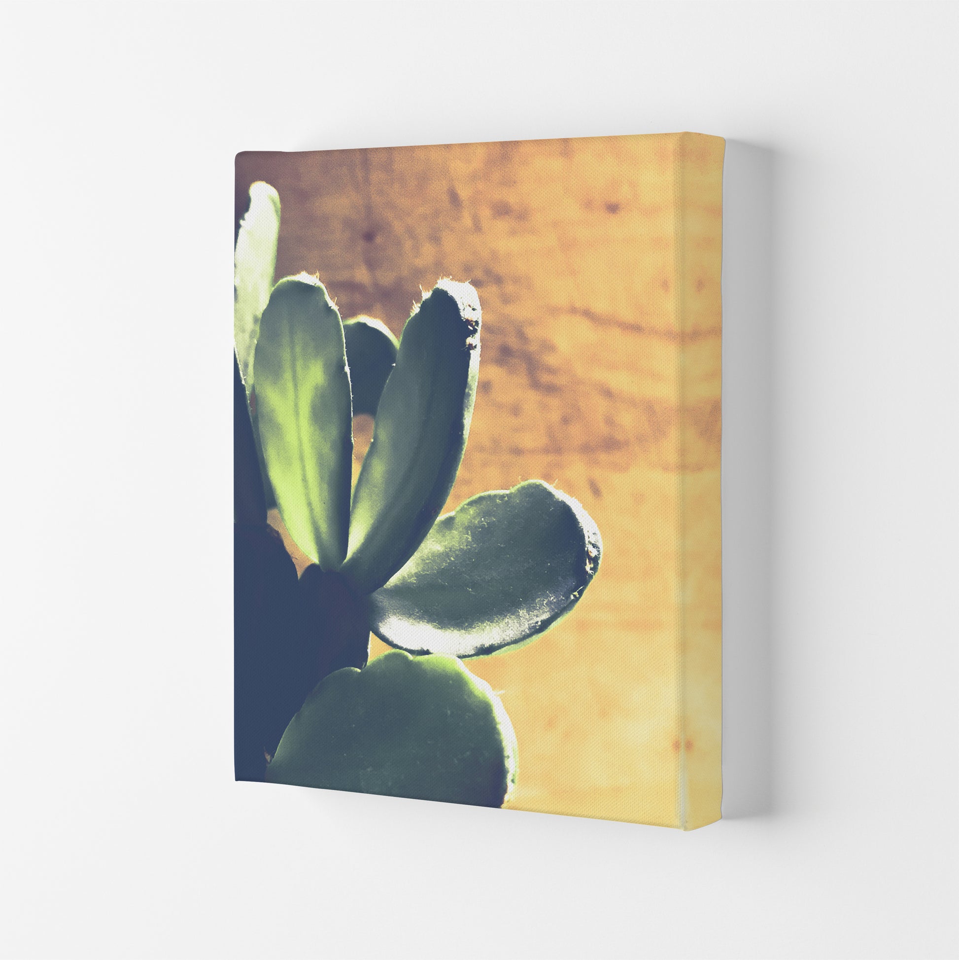 Cactus Photography Art Print by Proper Job Studio Canvas