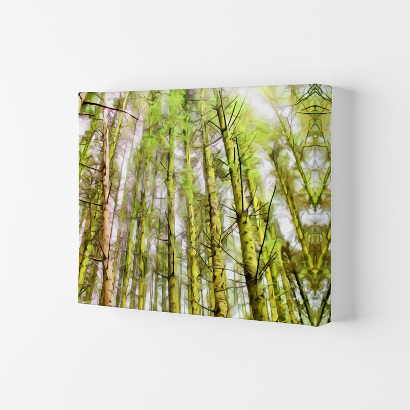 Woodland Canvas