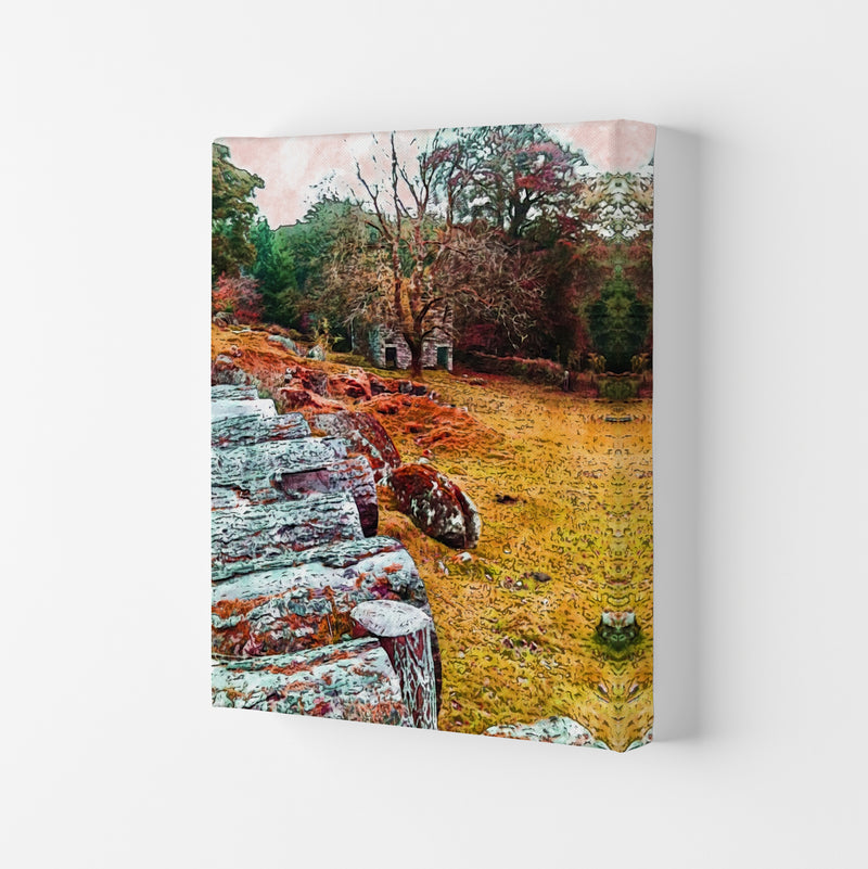 House on Dartmoor Art Print by Proper Job Studio Canvas