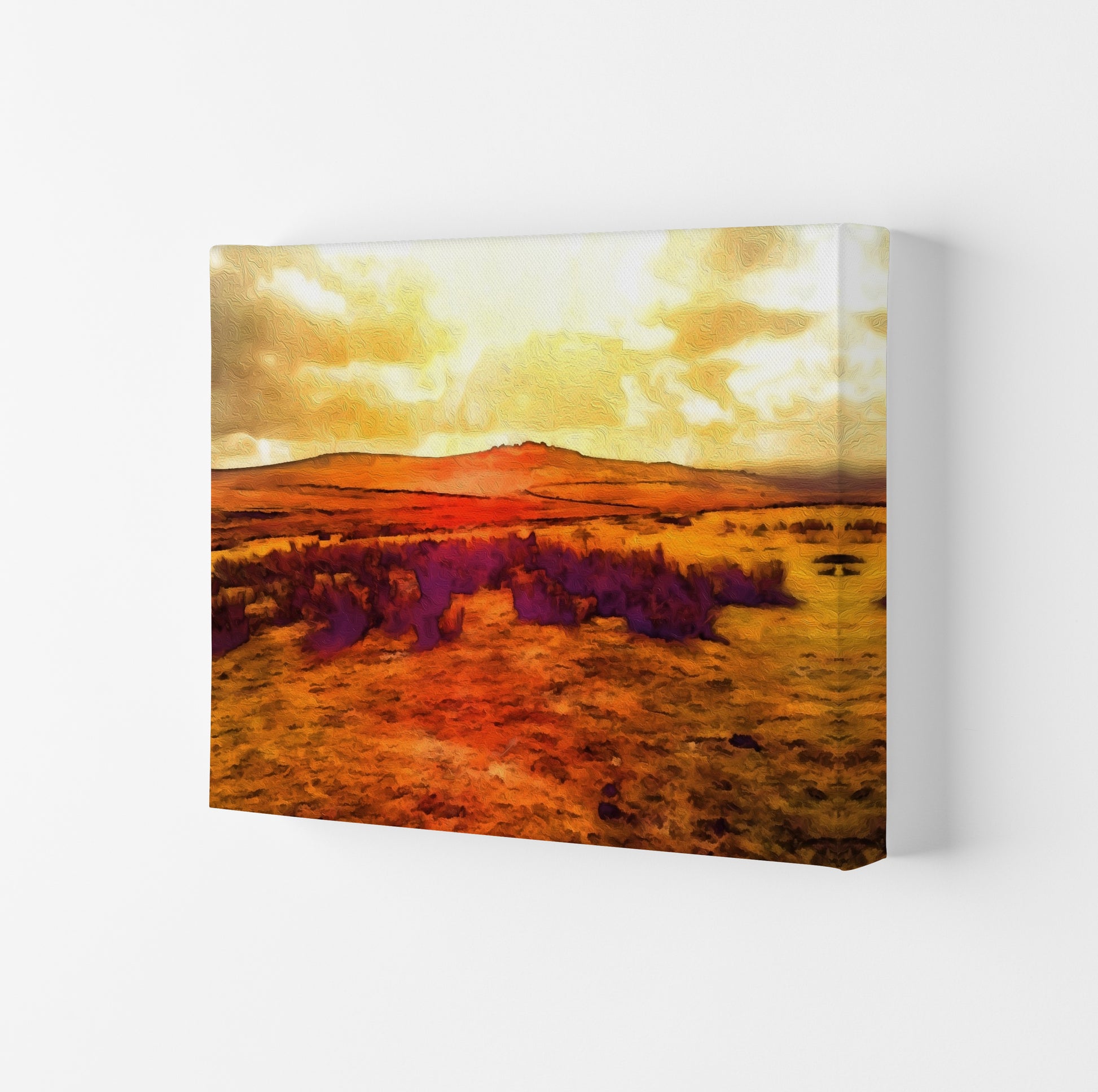 Dartmoor 3 Art Print by Proper Job Studio Canvas